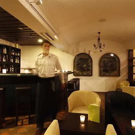 布莱萨赫市酒店 4*